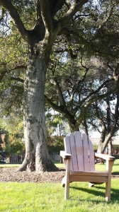 木と椅子